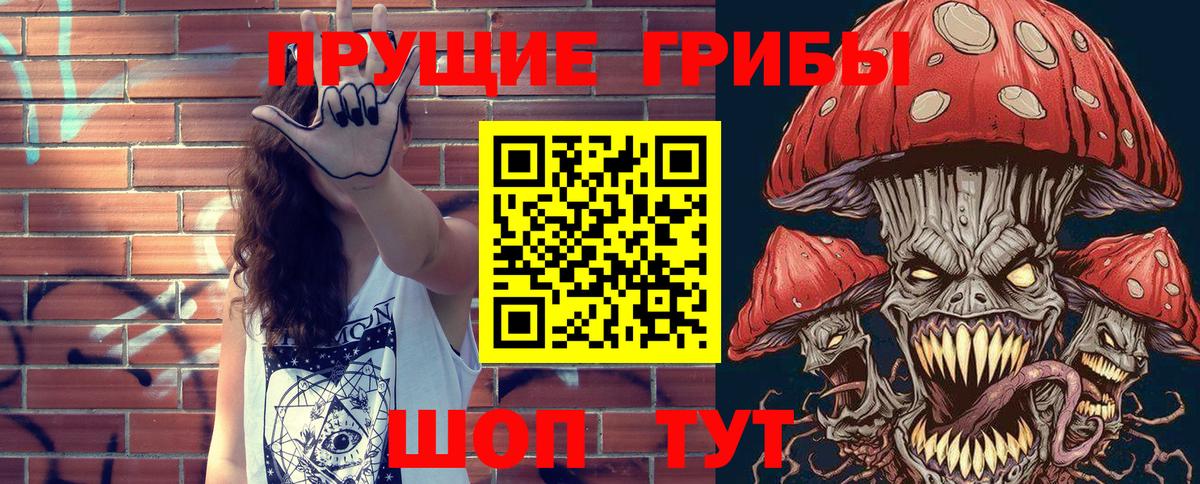 Псилоцибиновые грибы Cubensis Вичуга