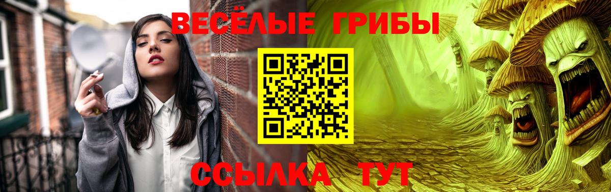 Вичуга  Галлюциногенные грибы мицелий  Вход с VPN 